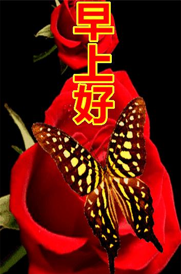 拥抱最新自我，自信闪耀在变化中