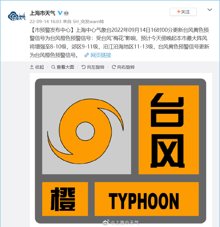 上海台风实时更新，最新动态与报告